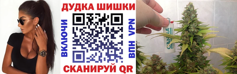 закладки  Ершов  Бошки Шишки ГИДРОПОН 